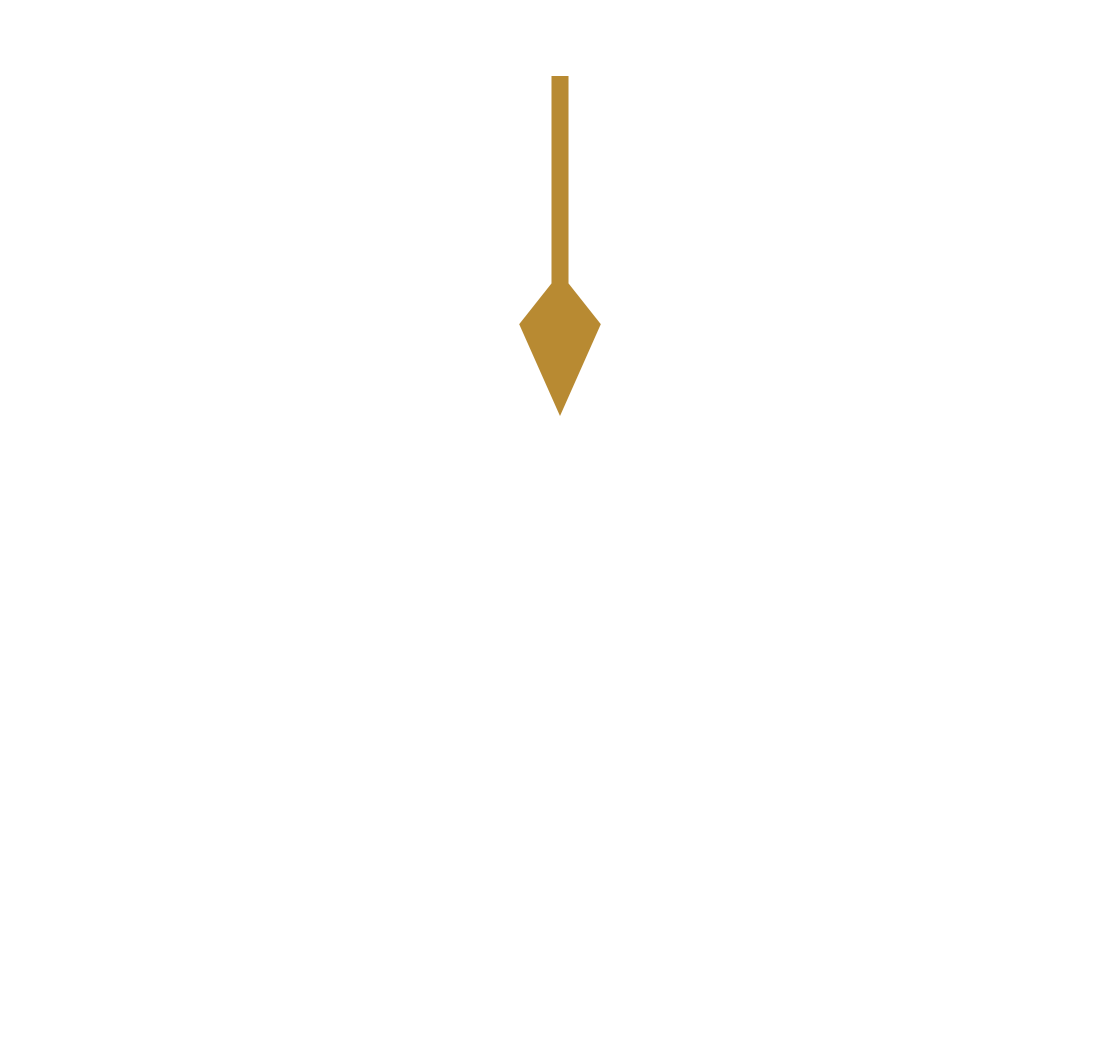 Plumm